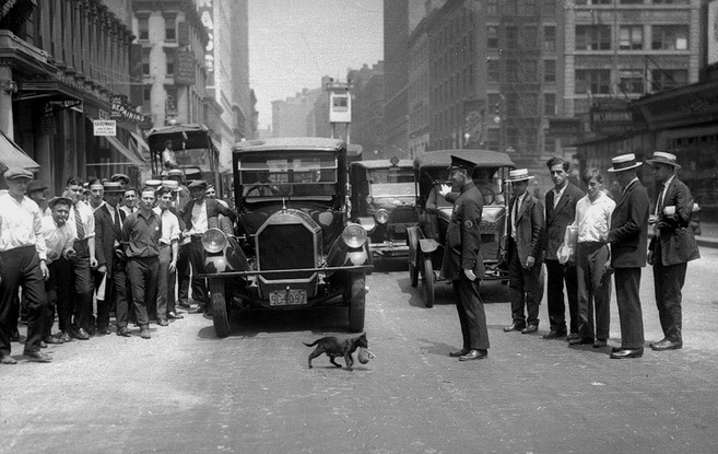 0149d-cat2bon2bstreet2bnyc